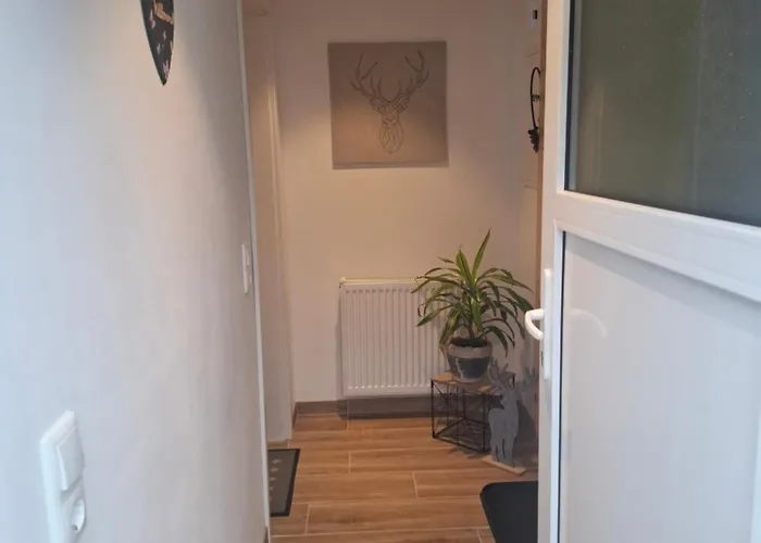 Alte Glaserei Apartamento